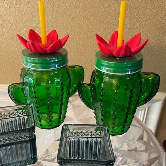 Target Bullseye Glass Cactus Flower Mason Jar Glasses set of 2 Sealed! - Picture 2 of 16